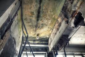 Best Mold Removal for HVAC Installations  in Woodlynne, NJ